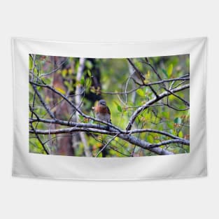 Eastern Bluebird Tapestry