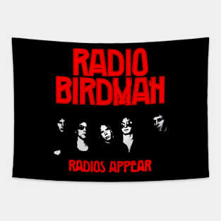 Radios Appear 1977 Garage Punk Classic Tapestry