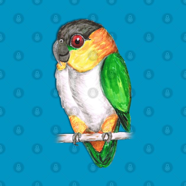 Black headed caique by Bwiselizzy