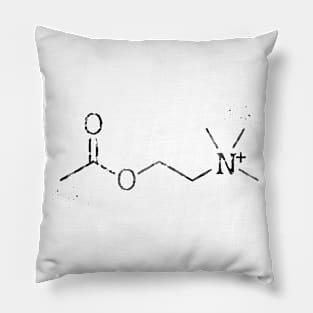 Acetylcholine molecule Pillow