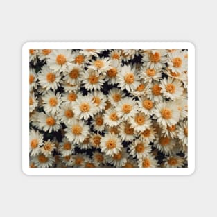 daisies pattern Magnet