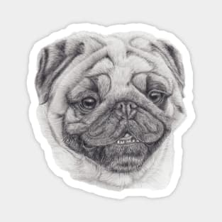 Pug Magnet