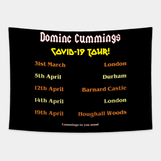 Dominic Cummings Covid Tour Tapestry