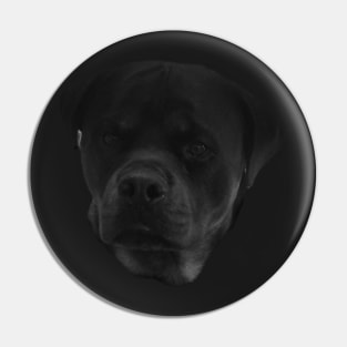 Rottweiler Pooch Pin