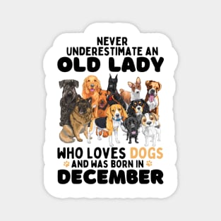 Never Underestimate An Old Lady Who Loves Dogs And Was Born In December Magnet