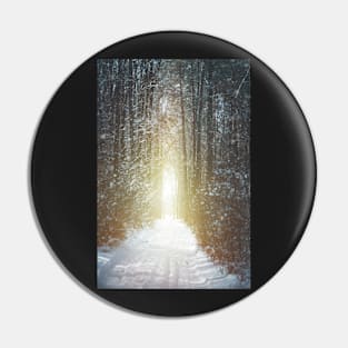 Road through winter forest Pin