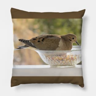 Mourning Dove No.5 Pillow