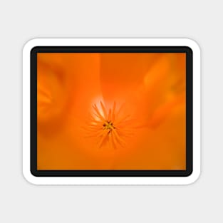 Orange Flower Magnet