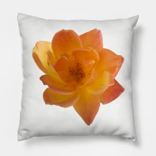 Orange Flower Pillow