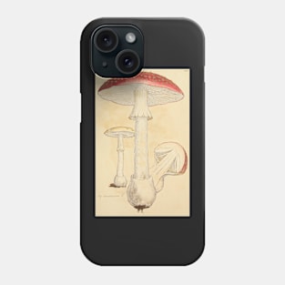 Amanita Mushroom, James Sowerby Phone Case