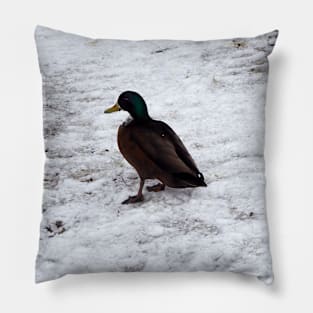 Ducks On The Winter Snow Pillow