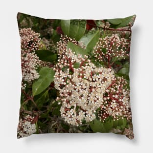 Welcome, Spring Pillow