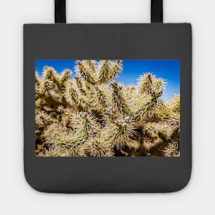 Cholla Cactus along the Apache Trail Tote