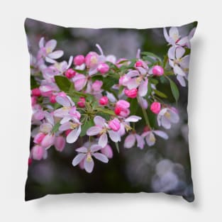 Pink Crab Apple Blossoms Pillow