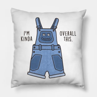 Overall This Pillow