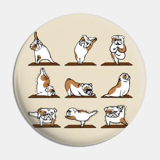 Funny bulldog yoga pose Pin