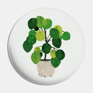 Pilea Peperomioides interor plant Pin