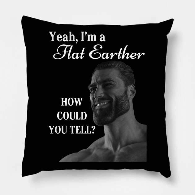 Me? A Flat Earther? Pillow by Trytar