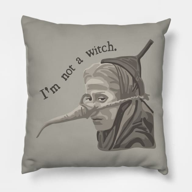 Holy Grail Not a Witch Pillow by Slightly Unhinged