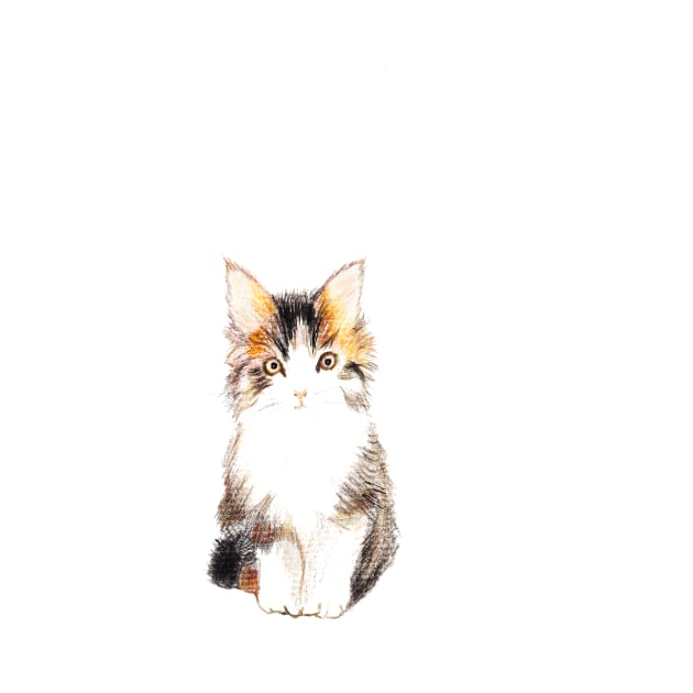 Kitten by DarkoRikalo86