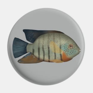 Red Tiger Severum Pin