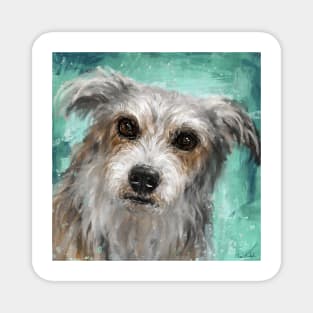 Painting of a Cute Hairy Dog, Looking Directly at You, Turquoise Background Magnet