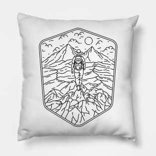 Traveler Pillow