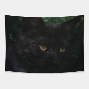 black cat Tapestry