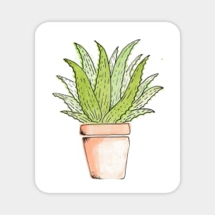 Aloe vera plant Magnet