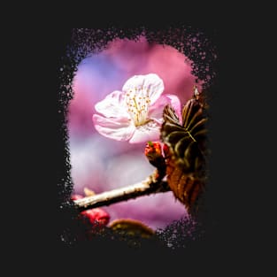 Charming Sakura Flower, Rich Pink And Blue Background T-Shirt