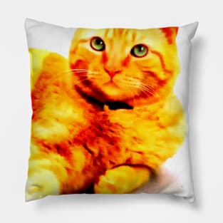 cheeseball the cat Pillow