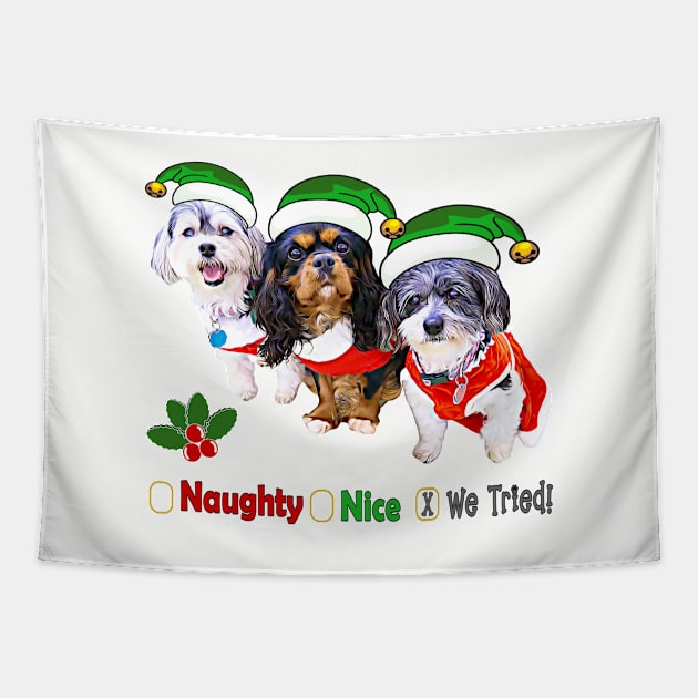 Naughty or Nice Dog Holiday Gifts Tapestry by THE Dog Designs