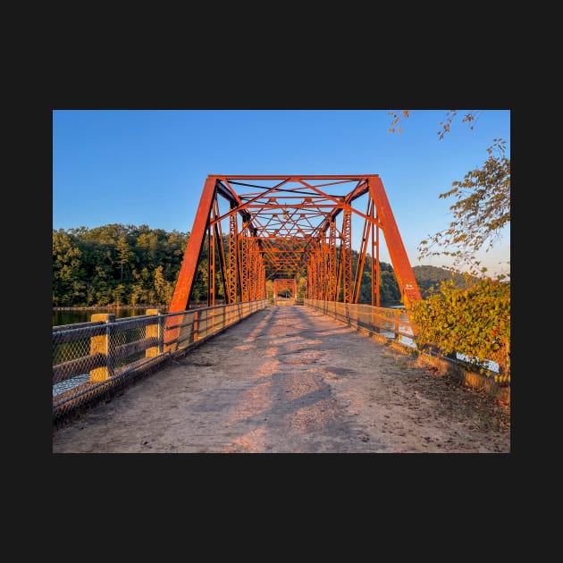 Old Steel Bridge by Ckauzmann