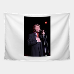 Peter Cetera Photograph Tapestry