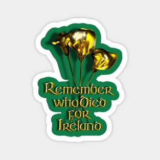 Remember who Died for Ireland Magnet