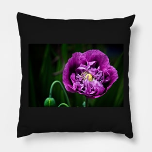 Pretty Purple Poppy Flower Pillow
