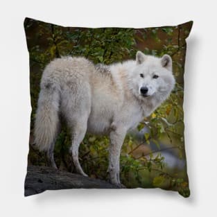 Arctic Wolf Pillow