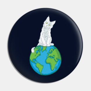 Cats on the World Pin