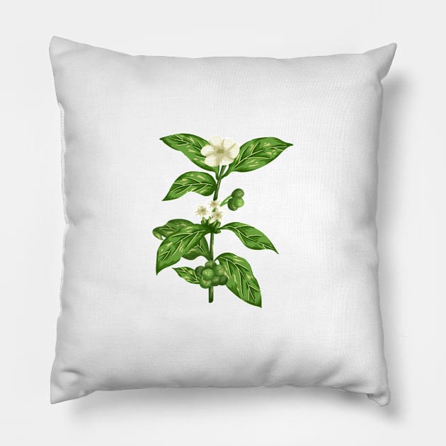 Green Coffe  Botanical Pillow by Salfiart