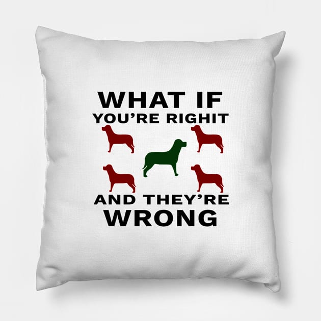 What If You're Right And They're Wrong Pillow by YassShop