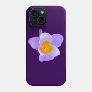 First Crocus of 2022 (purple background) Phone Case