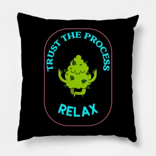 Trust the process. Pillow