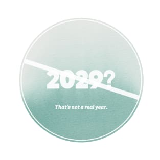 2029 Not A Real Year (Watercolor) T-Shirt