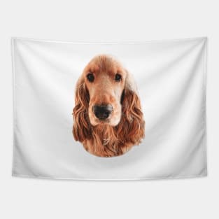 Golden English Cocker Spaniel Tapestry