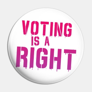 Voting is Not a Freaking Honor--IT IS A RIGHT Pin