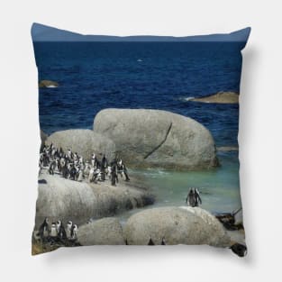 Penguins in South Africa Pillow