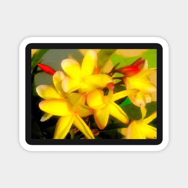 Love Blooms Magnet by dltphoto