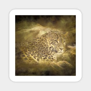 Panther Animal Wildlife Jungle Nature Adventure Watercolor Digital Painting Magnet