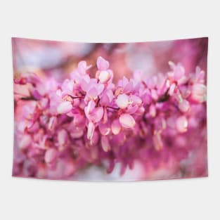 Shades of pink I Tapestry