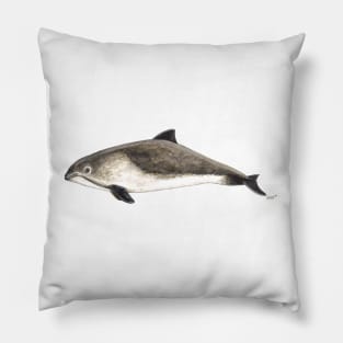 Harbour porpoise (Phocoena phocoena) Pillow